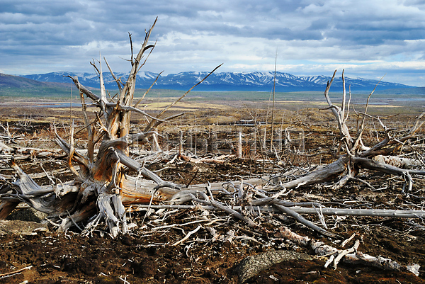 이미지 미리보기