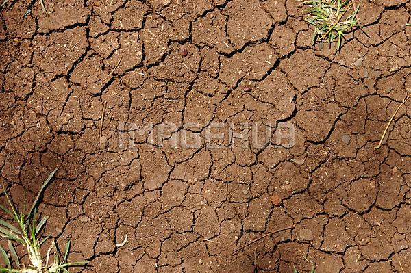 이미지 미리보기