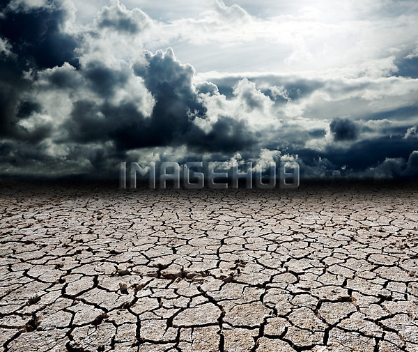 이미지 미리보기