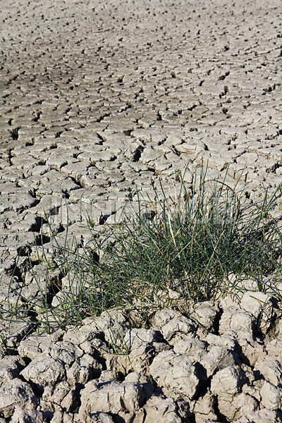 이미지 미리보기