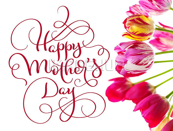 이미지 미리보기