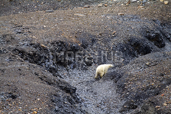 이미지 미리보기