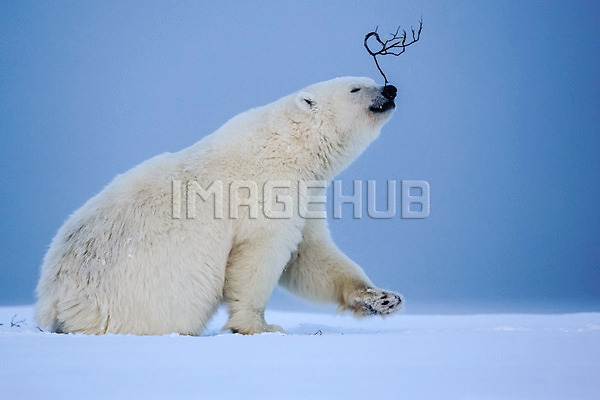 이미지 미리보기
