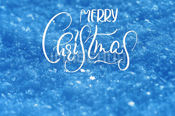 이미지 미리보기