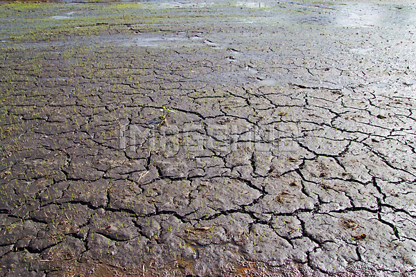 이미지 미리보기