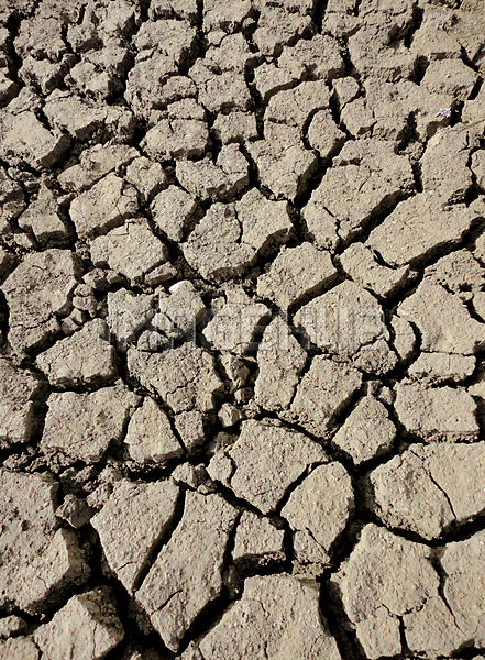 이미지 미리보기