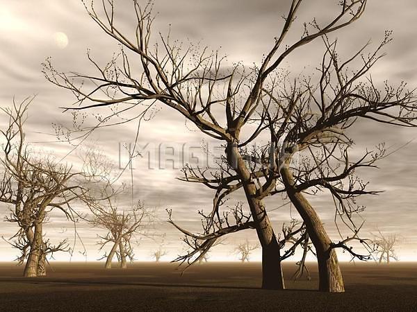 이미지 미리보기