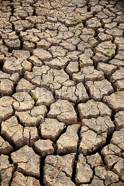 이미지 미리보기