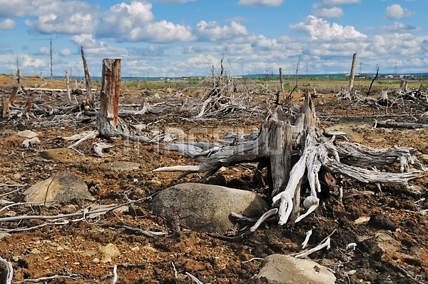 이미지 미리보기