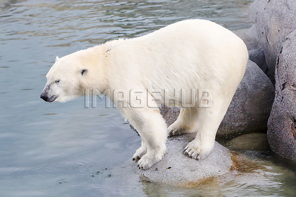 이미지 미리보기