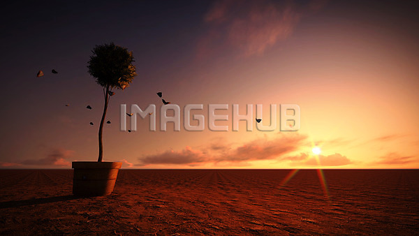 이미지 미리보기