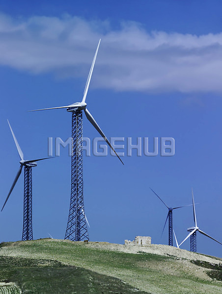 이미지 미리보기