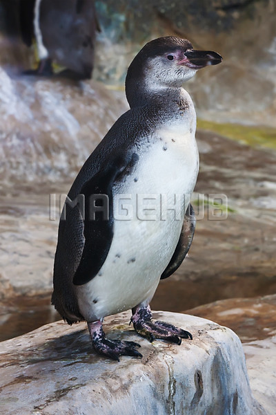 이미지 미리보기