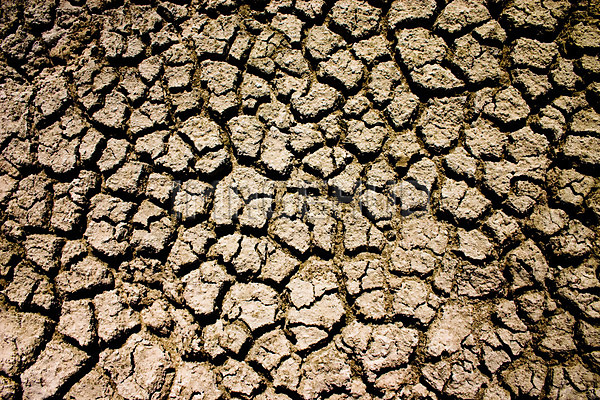 이미지 미리보기