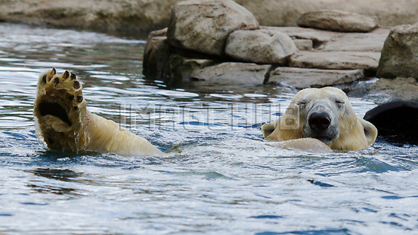 이미지 미리보기