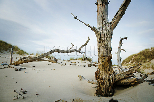 이미지 미리보기