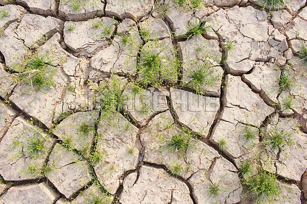 이미지 미리보기