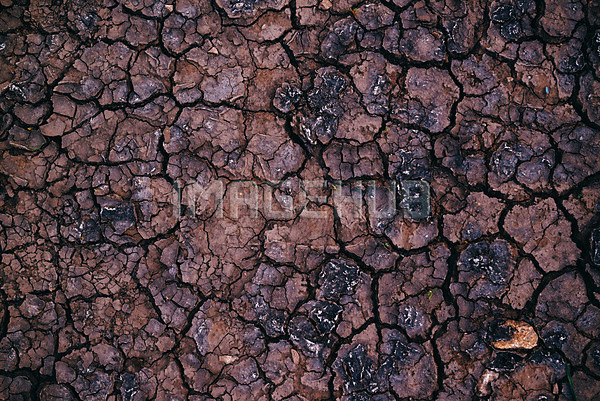 이미지 미리보기