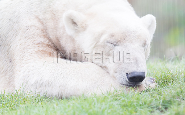 이미지 미리보기