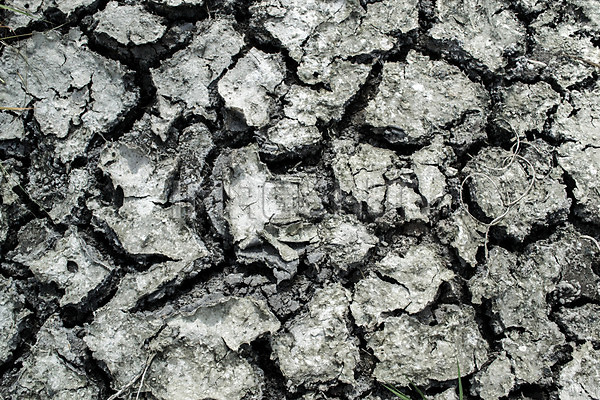 이미지 미리보기