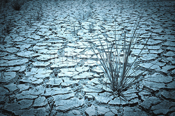 이미지 미리보기