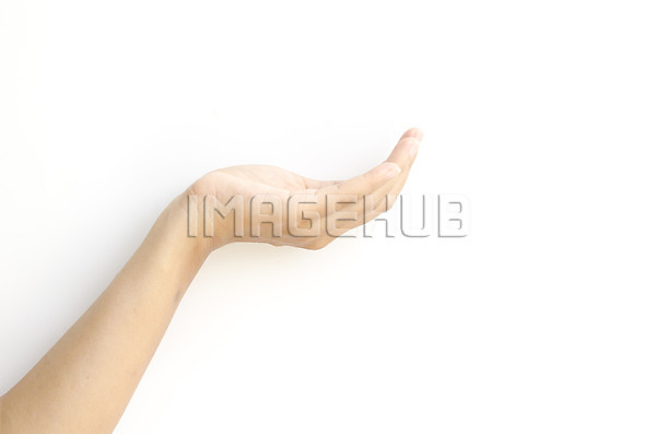 이미지 미리보기