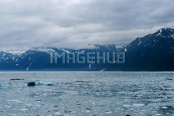 이미지 미리보기