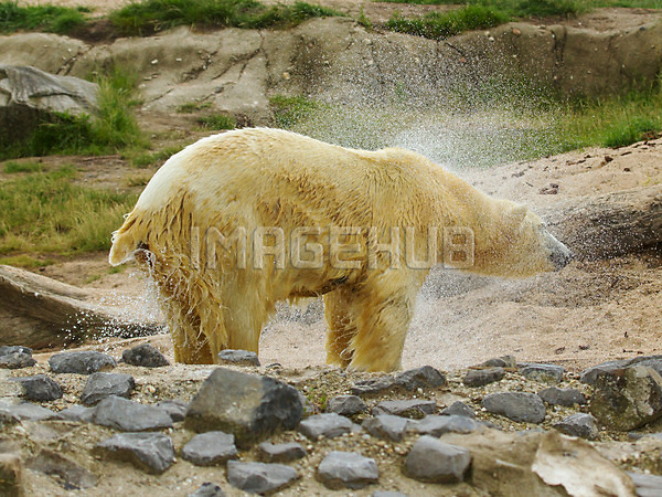 이미지 미리보기