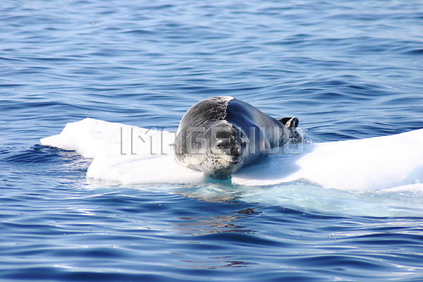 이미지 미리보기