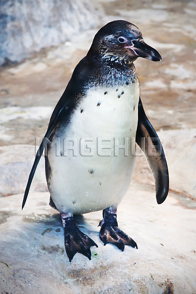 이미지 미리보기