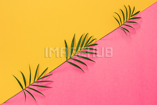 이미지 미리보기