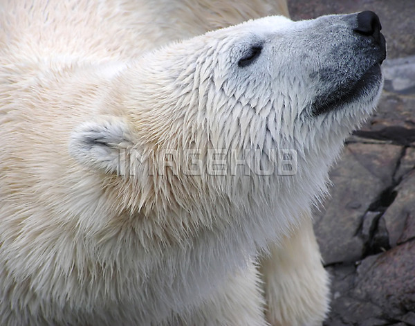 이미지 미리보기