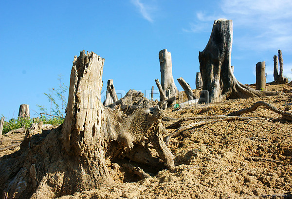 이미지 미리보기