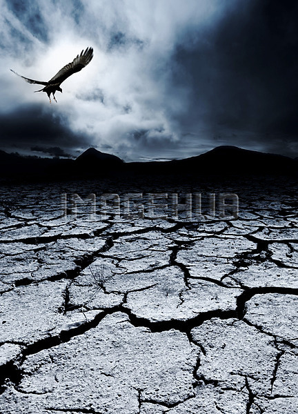 이미지 미리보기