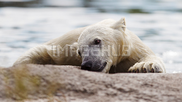 이미지 미리보기