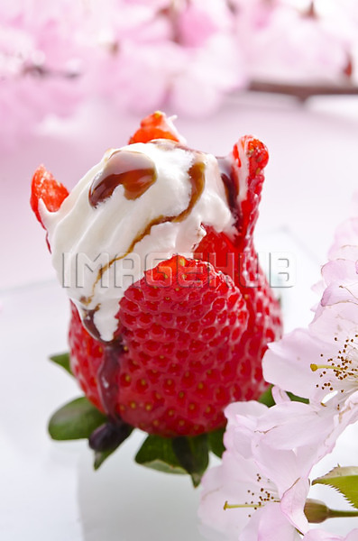 이미지 미리보기
