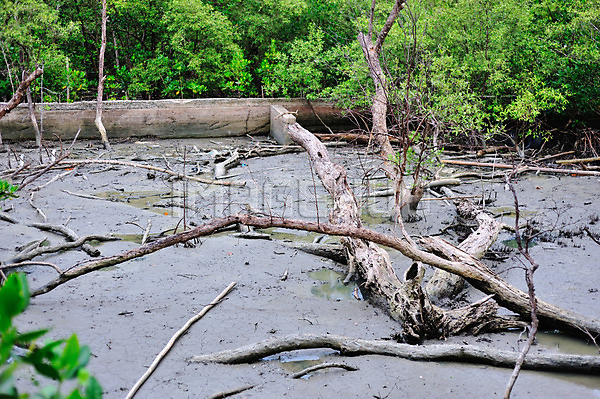 이미지 미리보기