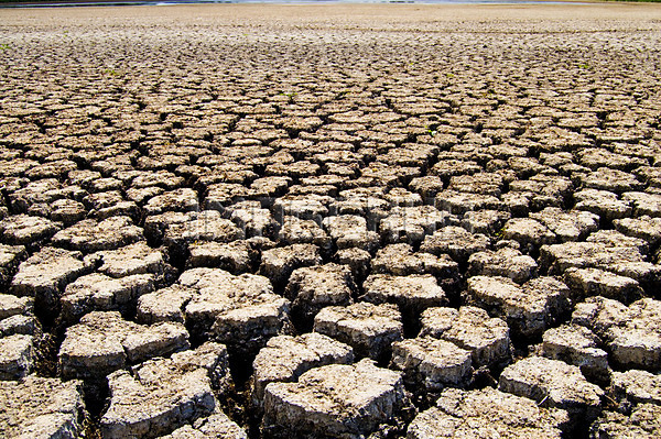 이미지 미리보기