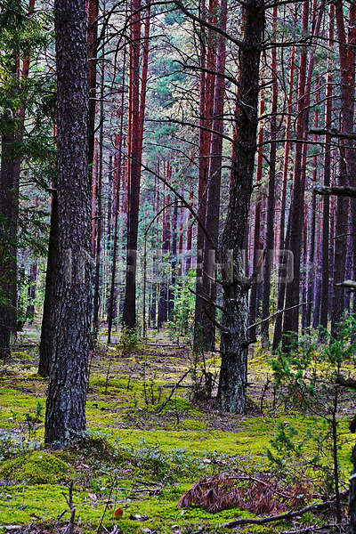 이미지 미리보기