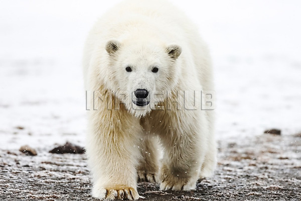 이미지 미리보기