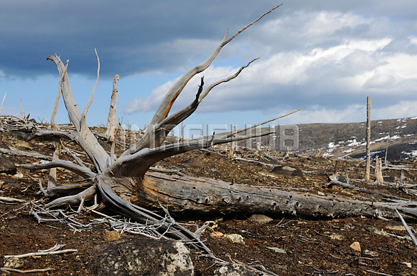 이미지 미리보기