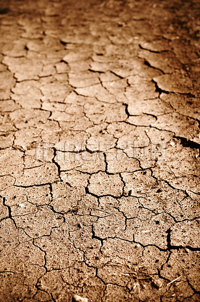 이미지 미리보기